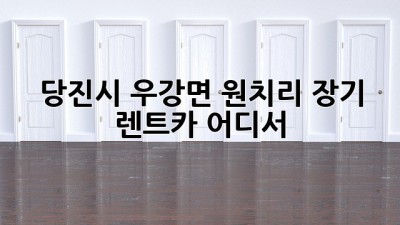 당진시 우강면 원치리 장기 렌트카, 어디서?