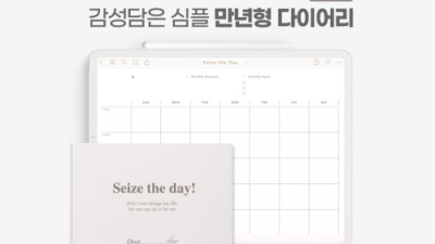 ✨2022 굿노트 다이어리✨ 똑똑하게 고르는 법! (+할인 꿀팁)