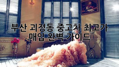 부산 괴정동 중고차 최고가 매입! 완벽 가이드