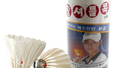 루이코리아 셔틀콕: 득템 꿀팁과 솔직 후기 대방출!